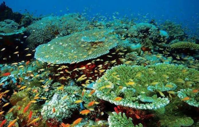 Tumbatu island